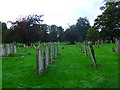 Early morning at Fairlee Road Cemetery (x)