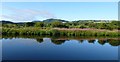 Reflections in the canal