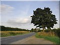 Minor road approaching Coggeshall from the west