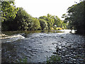 Teifi rapid below Newcastle Emlyn Bridge