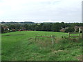 Footpath To Halstead