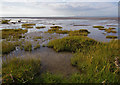 Foreshore at Knott End