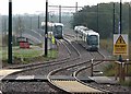 Trams crossing Fairham Brook