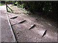 Steps on path up to Ridgeway above Chinnor