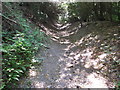 SP7600 : Sunken footpath to Chinnor Hill by David Hawgood