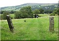 Path to Addingham from Over Croft