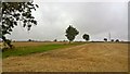 View from Narrow Lane