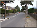 Thornhill Road - viewed from Syringa Street