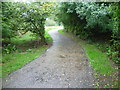 Path on Tottenham Marshes