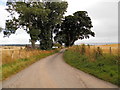 Country road near The Laws