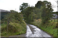 Road approaching Penygarreg farm