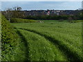Farmland on the edge of Leicester