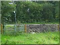 Footpath from Ashurst reaches the B2135