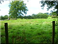 Footpath crosses field south of Ashurst