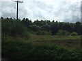 Farmland and woodland near Beyton Green