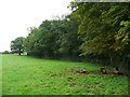 Public footpath off Fen Pond Road, Ightham