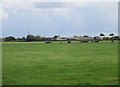 View towards a farm on Mark Moor