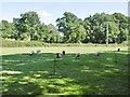 Woodlands, sheep grazing