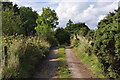 North Devon : Farm Track