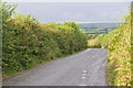 North Devon : Country Lane