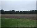 Farmland west of Norwich Road (A140)