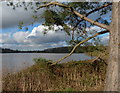 View across Thornton Reservoir