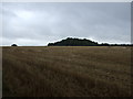 Farmland near Wetheringsett