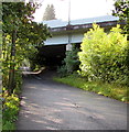 Celynen Road flyover, Newbridge