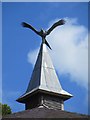 Kite on the Spire