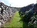 Stone Walled Path