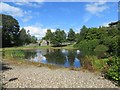 County Hall Pond