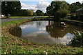 Duck pond opposite Church Green, Old Buckenham