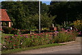 Colourful garden on Banham Road, Old Buckenham