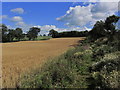 On S Cheshire Way, S of Gravel Farm, Crewe Green