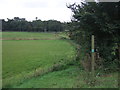 Footpath off the A140, Yaxley