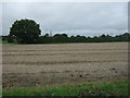 Stubble field off the A140