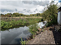 River Stort, Spellbrook, Essex