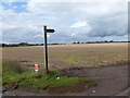 Bridleway sign beside a field of stubble 