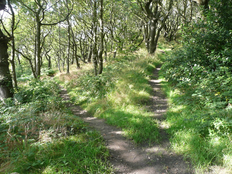 Path junction in Strangstry Wood © Humphrey Bolton :: Geograph Britain ...