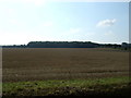 Stubble field off Scub Lane