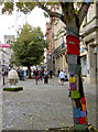 Bombed tree in Eastgate Street