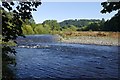 River Tweed