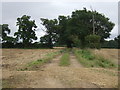 Farm track (footpath) off Audley End