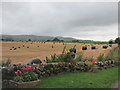 Harvested field at Dalswinton