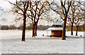 TQ2780 : Hyde Park, on a very cold Sunday in February 1985 by Ben Brooksbank