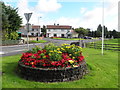 Floral display, Clabby (Ramaley)