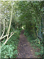 Footpath between Chorley Lane and Park Road, Coppull