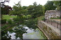 Bury St Edmunds: looking down the River Lark at the Abbey Gardens