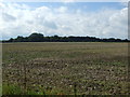 Farmland near Grove Farm