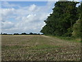 Farmland beside woodland, Grove Farm